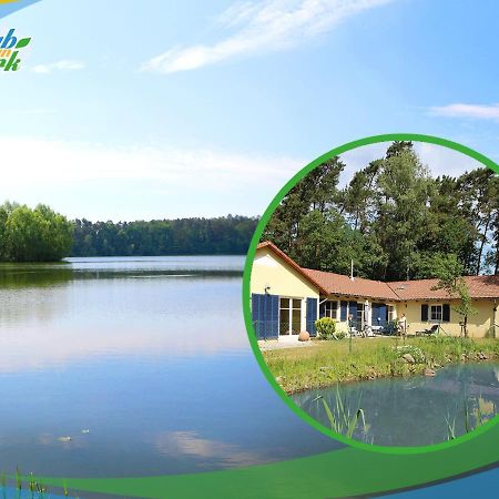 Familien-Suite-Im-Wald-Am-See Bork Εξωτερικό φωτογραφία